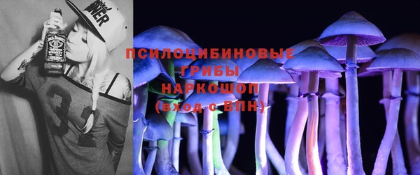 тгк Баксан