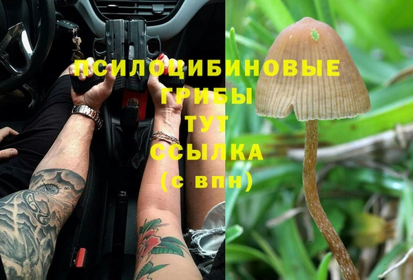 ешки Балахна