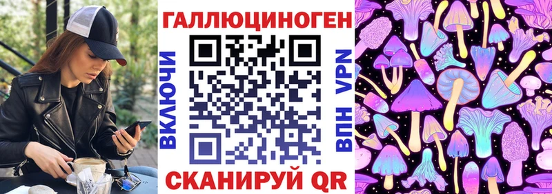 закладки  Олёкминск  Псилоцибиновые грибы MAGIC MUSHROOMS 